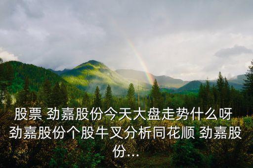 股票 勁嘉股份今天大盤(pán)走勢(shì)什么呀 勁嘉股份個(gè)股牛叉分析同花順 勁嘉股份...