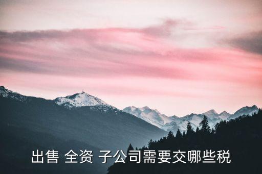 處置全資子公司賬務如何處理,全資子公司虧損注銷對母公司賬務