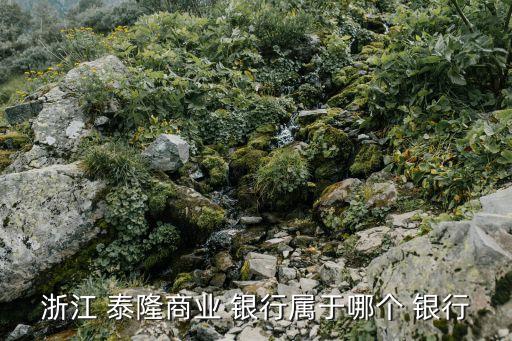 浙江 泰隆商業(yè) 銀行屬于哪個 銀行