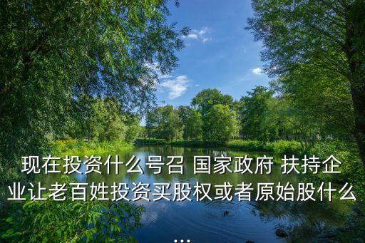 現(xiàn)在投資什么號召 國家政府 扶持企業(yè)讓老百姓投資買股權或者原始股什么...