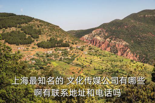 上海大予文化傳播有限公司,上?？捎栉幕瘋鞑ビ邢薰?/></a></span><span id=
