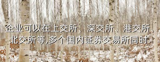 企業(yè)可以在上交所、深交所、港交所、北交所等,多個(gè)國(guó)內(nèi)證券交易所同時(shí)...