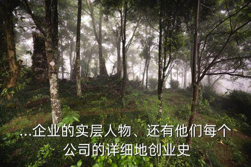 ...企業(yè)的實(shí)層人物、還有他們每個(gè) 公司的詳細(xì)地創(chuàng)業(yè)史