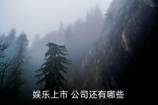 娛樂(lè)上市 公司還有哪些