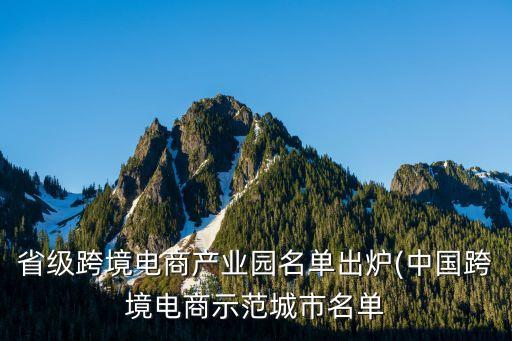 上海電子商務(wù)園區(qū)運營,電子商務(wù)運營主要做什么工作