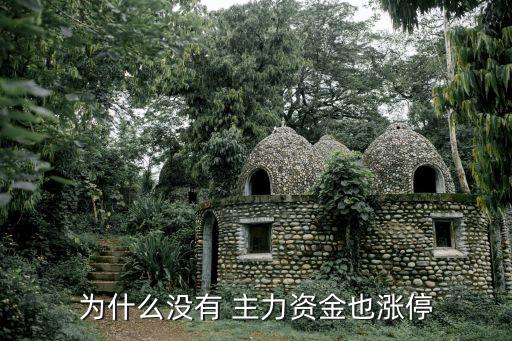 股票沒主力機構,股票里面主力、機構分別是什么意思