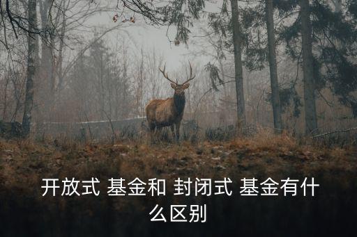 封閉式與開放式基金的異同點(diǎn),開放式基金規(guī)模比封閉式大嗎