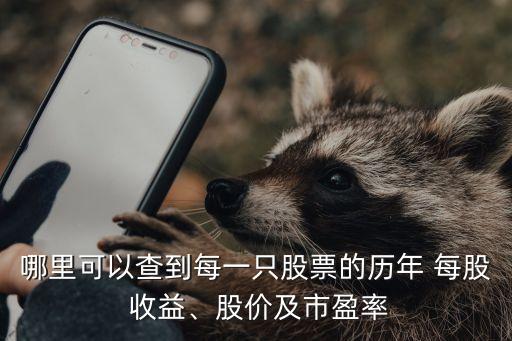 哪里可以查到每一只股票的歷年 每股 收益、股價及市盈率