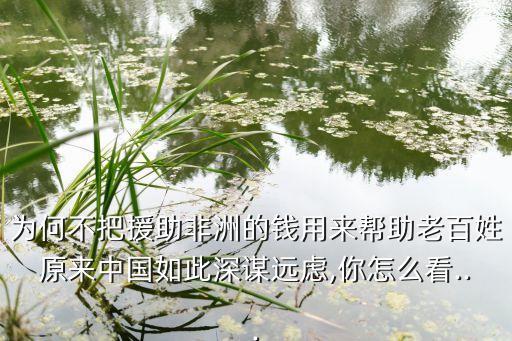 為何不把援助非洲的錢用來幫助老百姓原來中國(guó)如此深謀遠(yuǎn)慮,你怎么看...