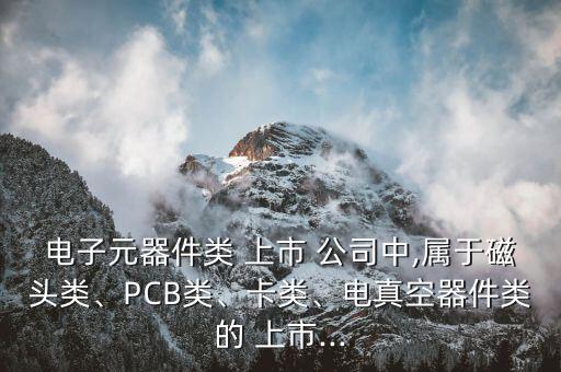 電子元器件類 上市 公司中,屬于磁頭類、PCB類、卡類、電真空器件類的 上市...