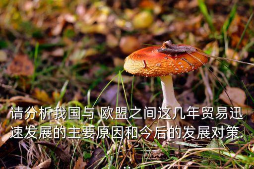 請(qǐng)分析我國(guó)與 歐盟之間這幾年貿(mào)易迅速發(fā)展的主要原因和今后的發(fā)展對(duì)策...