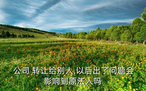 轉(zhuǎn)讓公司的優(yōu)缺點,轉(zhuǎn)讓信用證的優(yōu)缺點