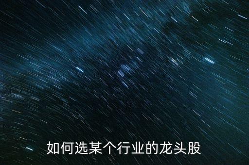 如何選某個行業(yè)的龍頭股