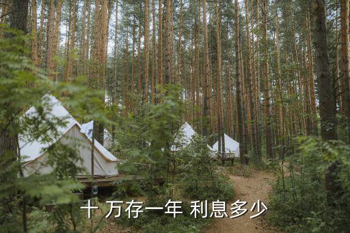 10萬存銀行1年利息多少,存款哪個(gè)銀行利息最高最安全