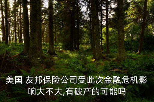 美國 友邦保險公司受此次金融危機(jī)影響大不大,有破產(chǎn)的可能嗎