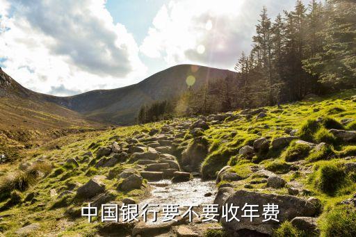  中國(guó)銀行要不要收年費(fèi)
