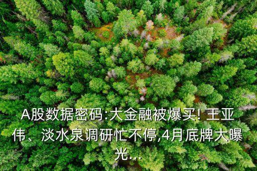 A股數(shù)據(jù)密碼:大金融被爆買! 王亞偉、淡水泉調(diào)研忙不停,4月底牌大曝光...