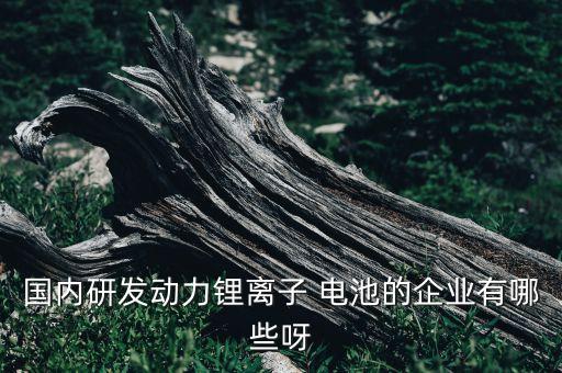 國內(nèi)研發(fā)動(dòng)力鋰離子 電池的企業(yè)有哪些呀
