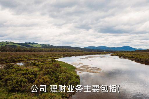  公司 理財業(yè)務(wù)主要包括(