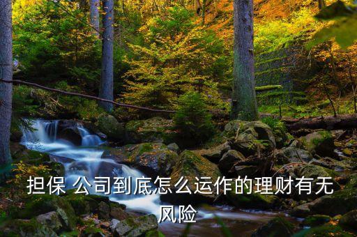  擔(dān)保 公司到底怎么運(yùn)作的理財有無風(fēng)險