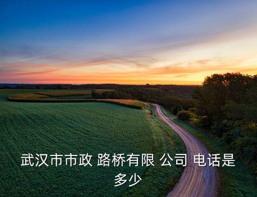 武漢市市政 路橋有限 公司 電話(huà)是多少