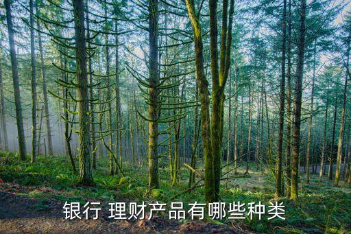 銀行 理財產(chǎn)品有哪些種類