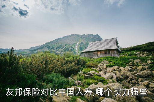 友邦保險(xiǎn)對(duì)比中國(guó)人壽,哪個(gè)實(shí)力強(qiáng)些