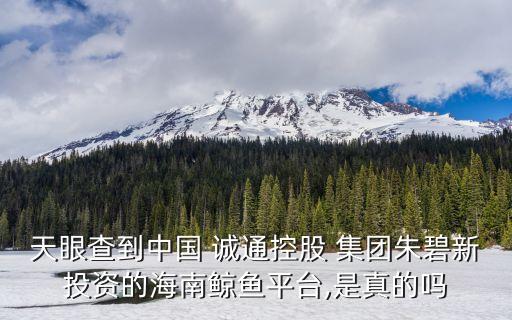 中國誠通集團(tuán)辦公室主任
