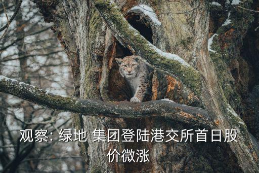 觀察: 綠地 集團(tuán)登陸港交所首日股價微漲