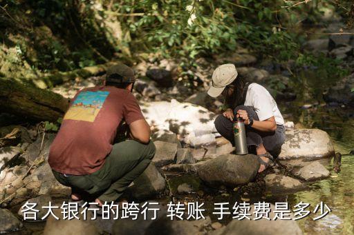交通銀行柜臺轉(zhuǎn)賬怎么收手續(xù)費(fèi),建行往交通銀行轉(zhuǎn)賬收手續(xù)費(fèi)嗎