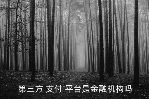  第三方 支付 平臺是金融機(jī)構(gòu)嗎