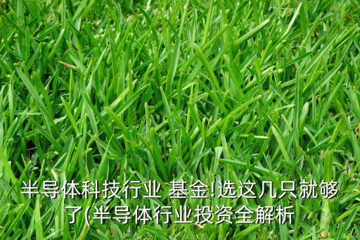 半導體科技行業(yè) 基金!選這幾只就夠了(半導體行業(yè)投資全解析