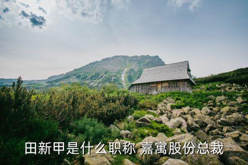 田新甲是什么職稱(chēng) 嘉寓股份總裁