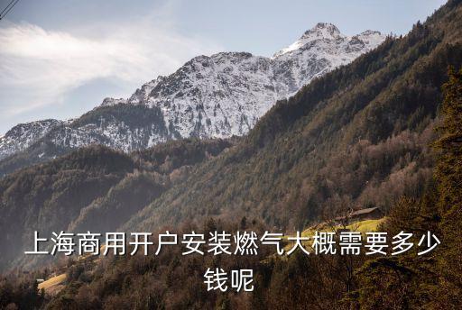  上海商用開(kāi)戶(hù)安裝燃?xì)獯蟾判枰嗌馘X(qián)呢