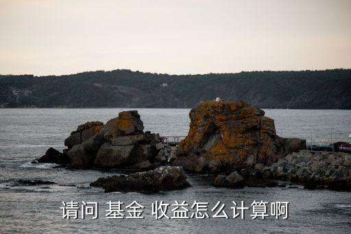 請(qǐng)問(wèn) 基金 收益怎么計(jì)算啊