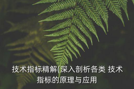  技術(shù)指標精解(深入剖析各類 技術(shù)指標的原理與應用
