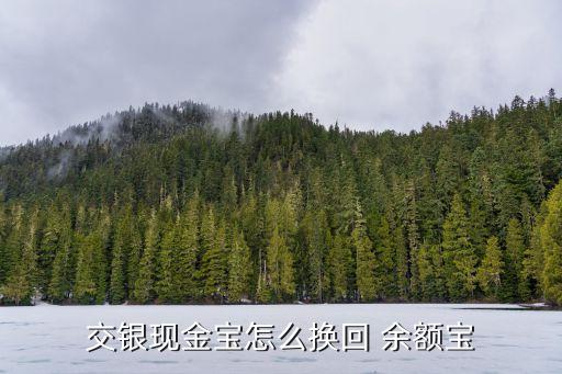 余額寶交通銀行,交通銀行有像余額寶一樣的理財產(chǎn)品嗎