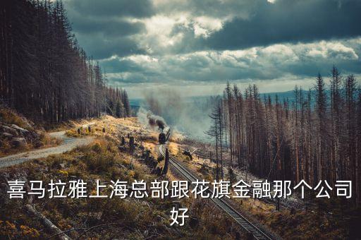 喜馬拉雅上?？偛扛ㄆ旖鹑谀莻€(gè)公司好