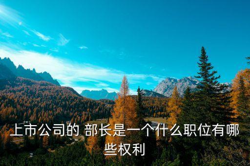 上市公司的 部長是一個什么職位有哪些權利