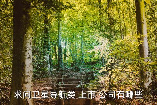 求問(wèn)衛(wèi)星導(dǎo)航類(lèi) 上市 公司有哪些