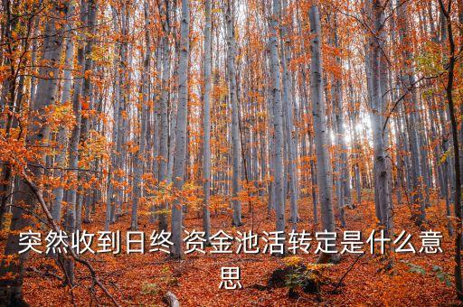 跨國(guó)公司資金池