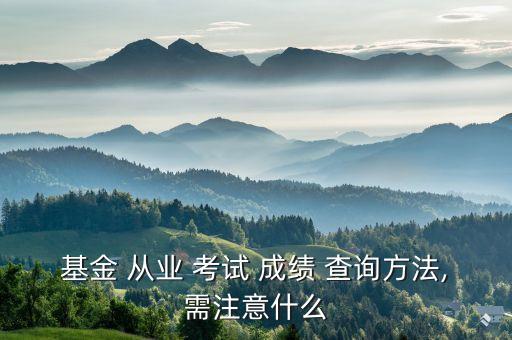 基金從業(yè)資格預(yù)約考試成績(jī)查詢(xún),銀行從業(yè)資格證書(shū)考試成績(jī)查詢(xún)