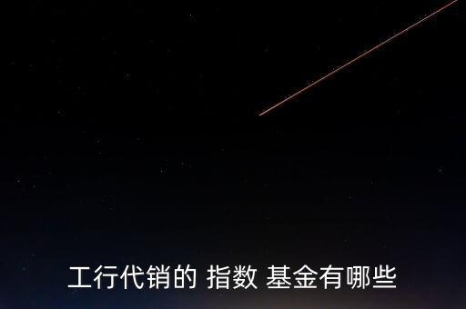 工行代銷(xiāo)的 指數(shù) 基金有哪些