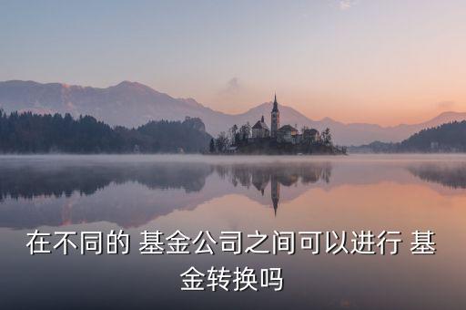 在不同的 基金公司之間可以進行 基金轉(zhuǎn)換嗎