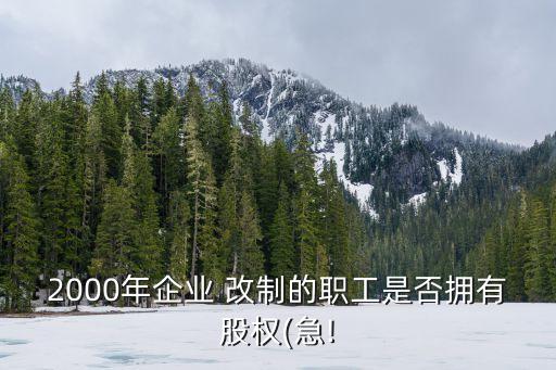 公司股份改制員工內購股份