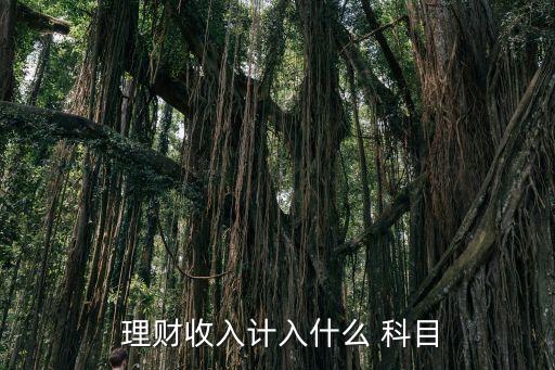 上市公司購理財(cái)產(chǎn)品記哪個科目