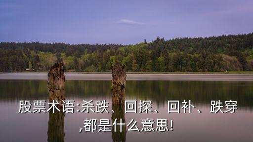  股票術(shù)語(yǔ):殺跌、回探、回補(bǔ)、跌穿,都是什么意思!