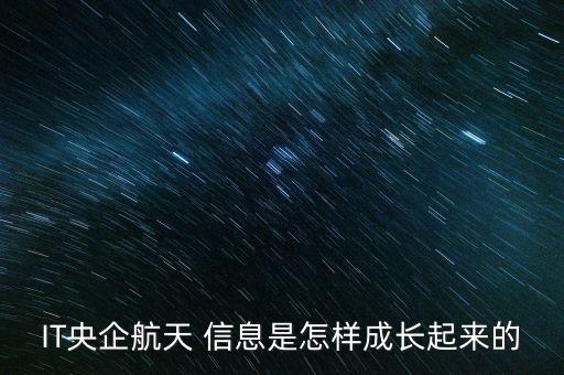 IT央企航天 信息是怎樣成長(zhǎng)起來的