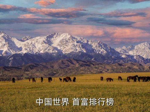現(xiàn)在誰是中國(guó)首富,2023年中國(guó)十大首富