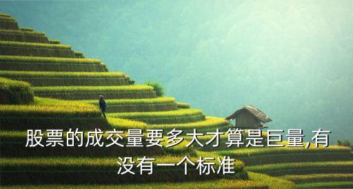  股票的成交量要多大才算是巨量,有沒(méi)有一個(gè)標(biāo)準(zhǔn)